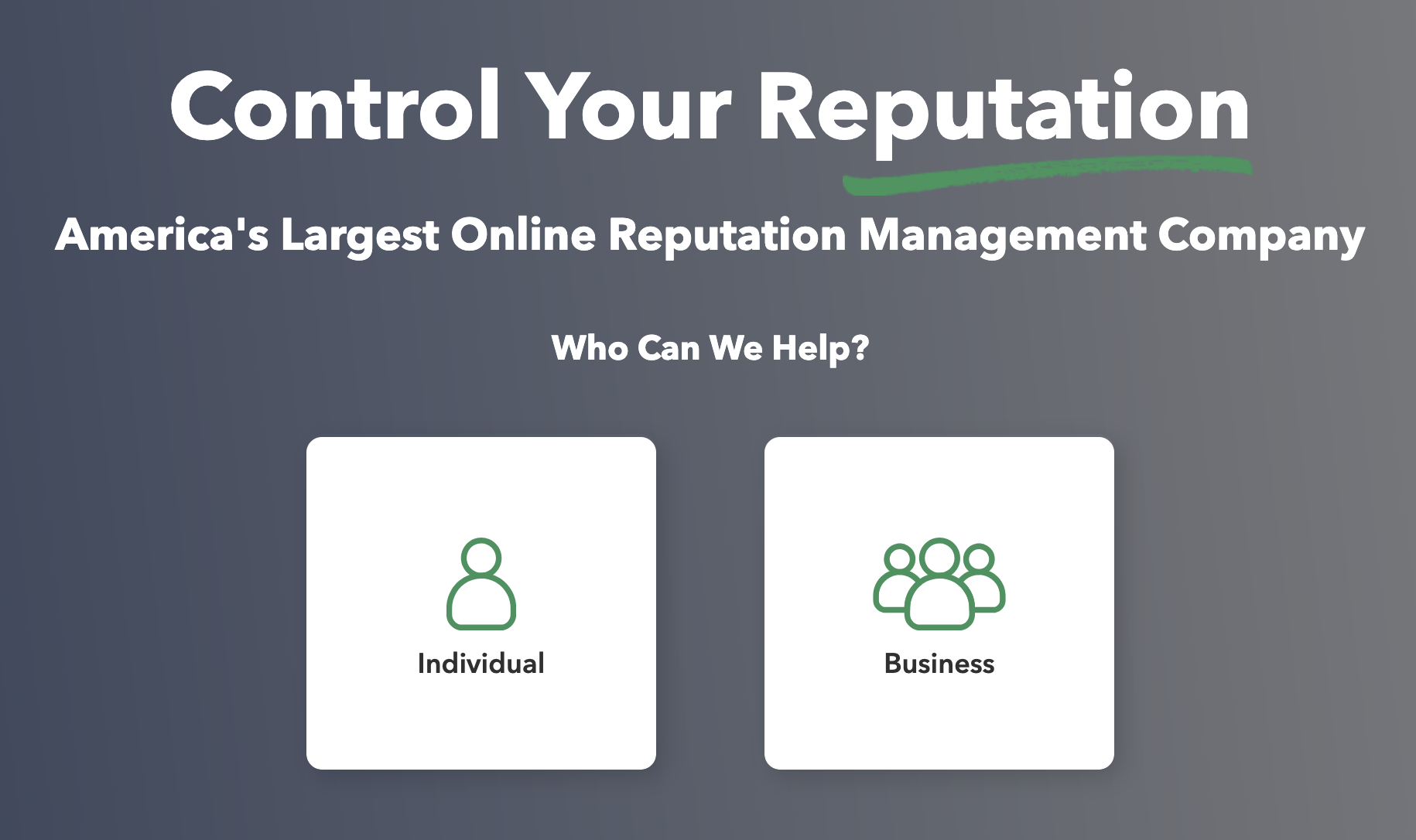 NetReputation homepage screenshot